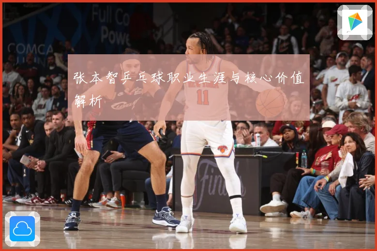 张本智乒乓球职业生涯与核心价值解析